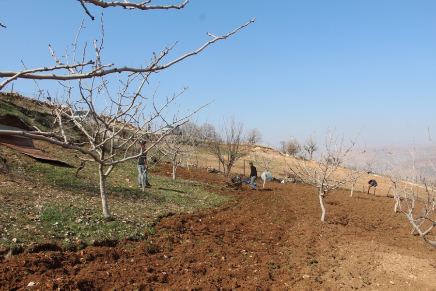 Siirt’te kuraklık endişesi çiftçileri korkutuyor 