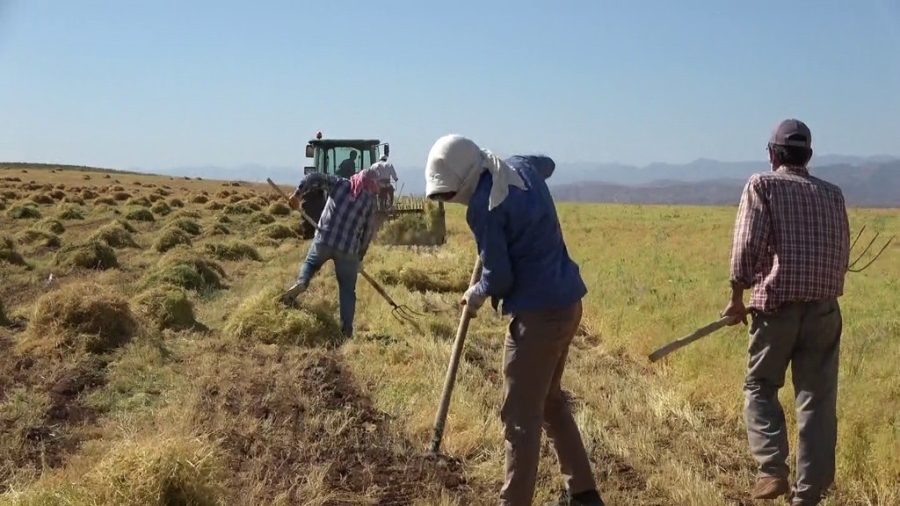 Devlet destek verdi, Siirt’ten ülke ekonomisine 10 milyar katkı 