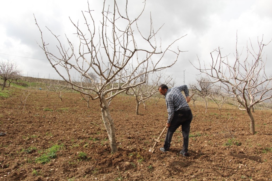 Kuraklık baş gösterdi, çiftçilere yağmur duasına çıkın çağrısı 