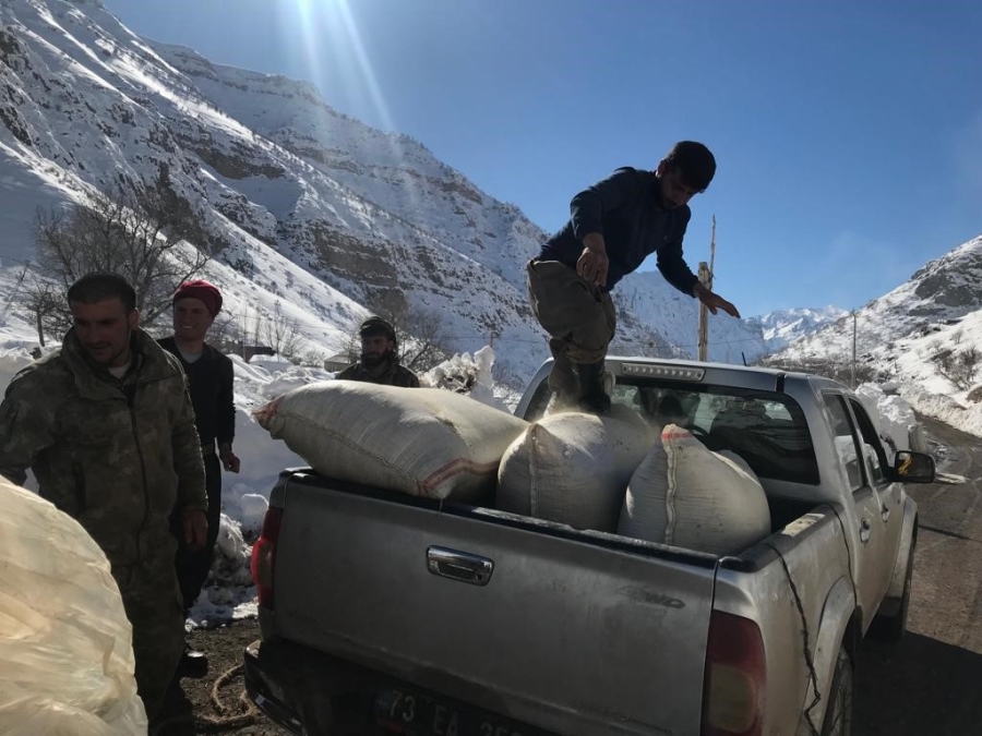 Şırnak'tan deprem bölgesine yem desteği 