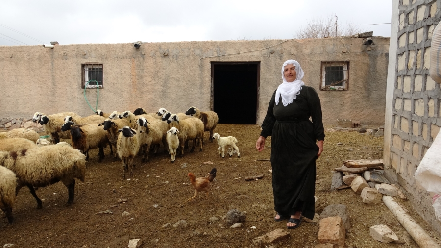 Mardin'in tek kadın muhtarı Nebahat, gelin geldiği köyü iki dönemdir yönetiyor