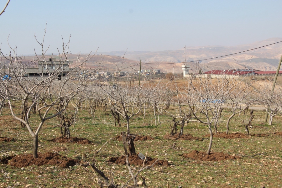 Kuraklık tedirgin ediyor: Umutlar mart ve nisan yağmurlarına kaldı