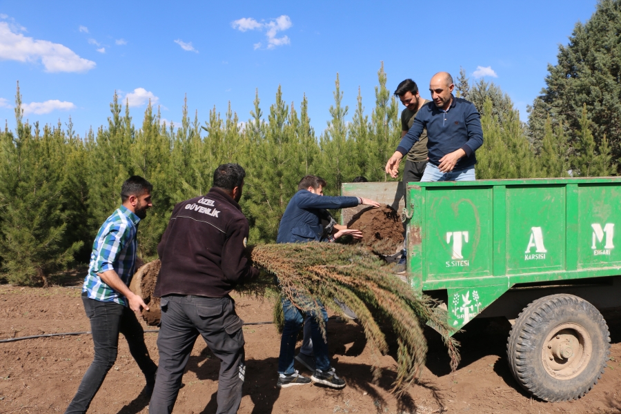 Depremde hayatını kaybeden sağlıkçılar adına meslektaşları hatıra ormanı oluşturdu