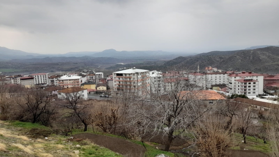 Kulp’ta yağmur çiftçinin yüzünü güldürdü