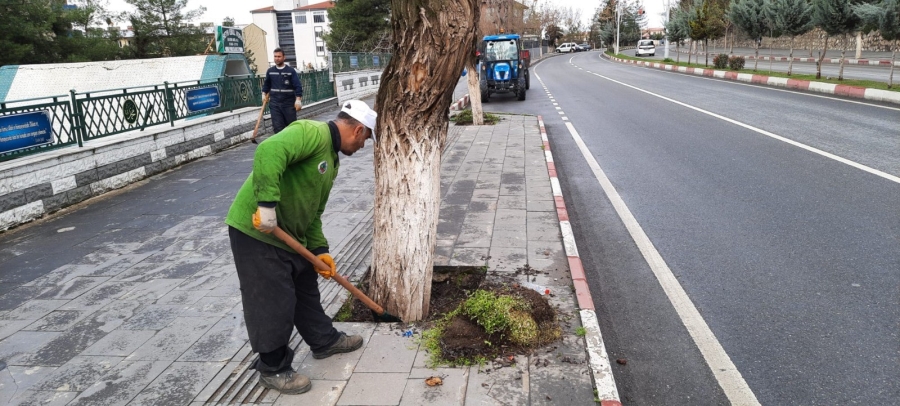 Siirt'te park ve bahçelerde temizlik ve bakım çalışmaları başlatıldı