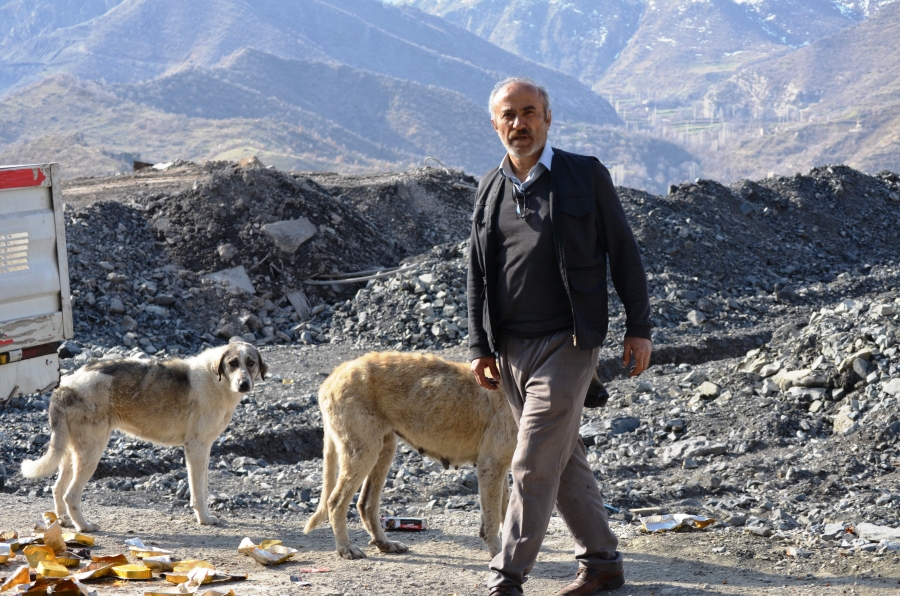 HAYIRSEVER VATANDAŞ SOKAK KÖPEKLERİ İÇİN 30 KİLOMETRE YOL KAT EDİYOR