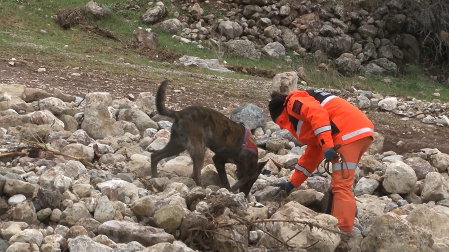 1,5 yaşındaki Zeynep hassas burunlu köpek ile aranıyor