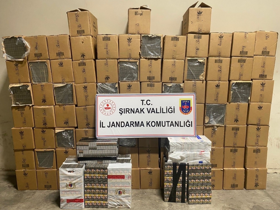 Şırnak'ta 48 bin 900 paket gümrük kaçağı sigara ele geçirildi