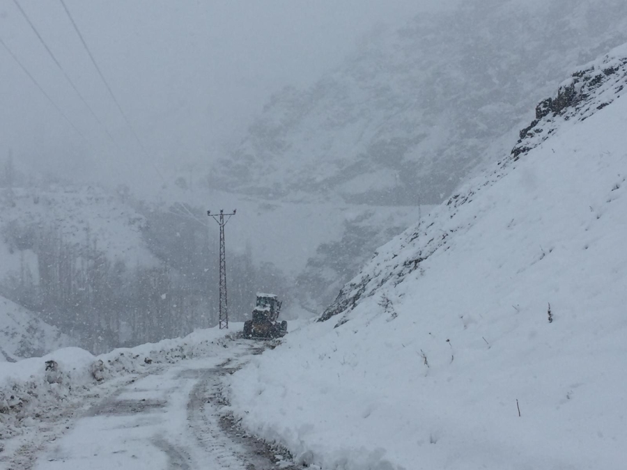 İlkbahar beklenirken kış geldi