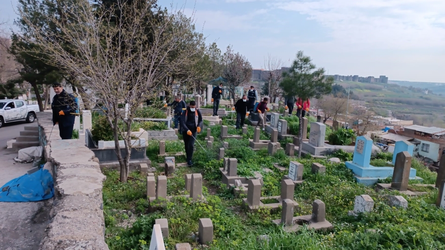 Diyarbakır’da mezarlıklara yabani ot ilaçlaması