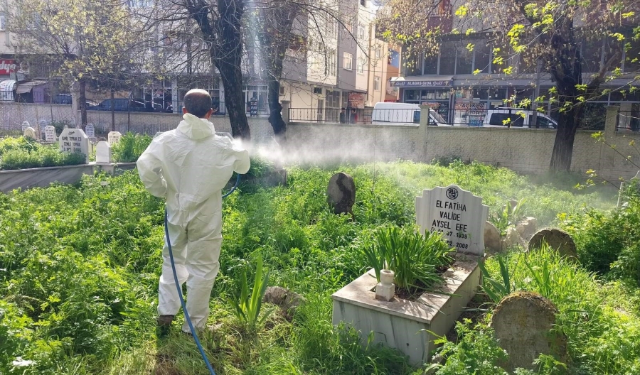 Siirt’te mezarlıklarda yabani otlara karşı ilaçlama çalışması başlatıldı