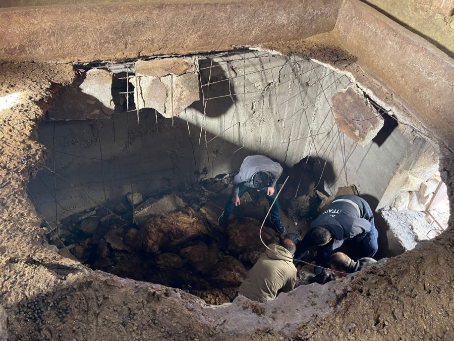 Siirt'te ahır çöktü: 12 koyun telef oldu