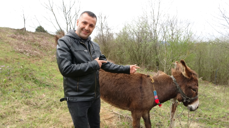 Pendik'te, internetten 7 bin 500 TL'ye satışa çıkarılan eşek ilgi odağı oldu