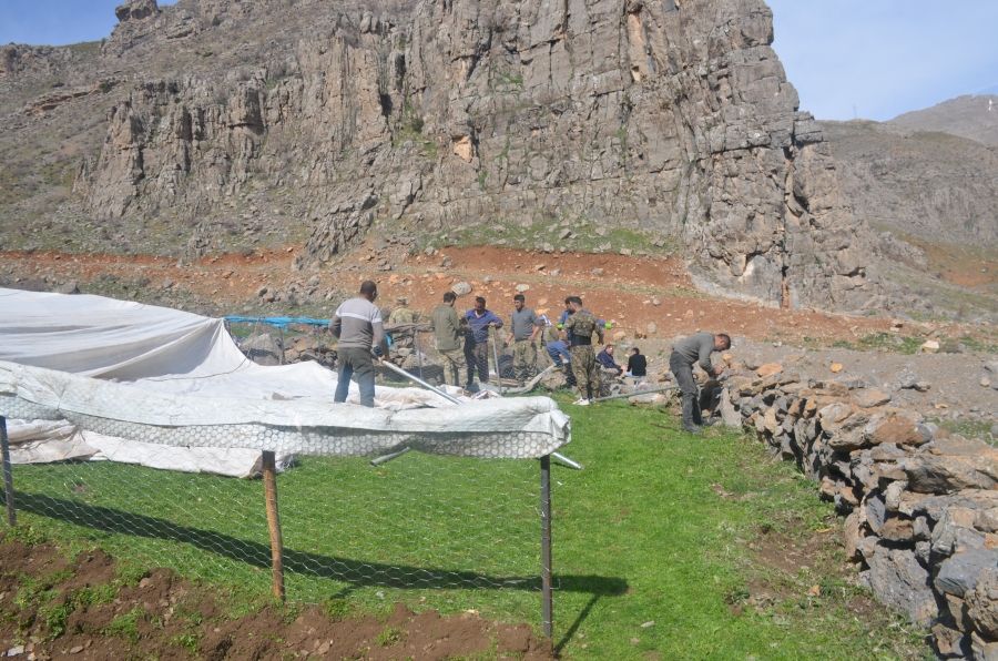 Şırnak’ta besiciler yaylada çadır açmaya başladı