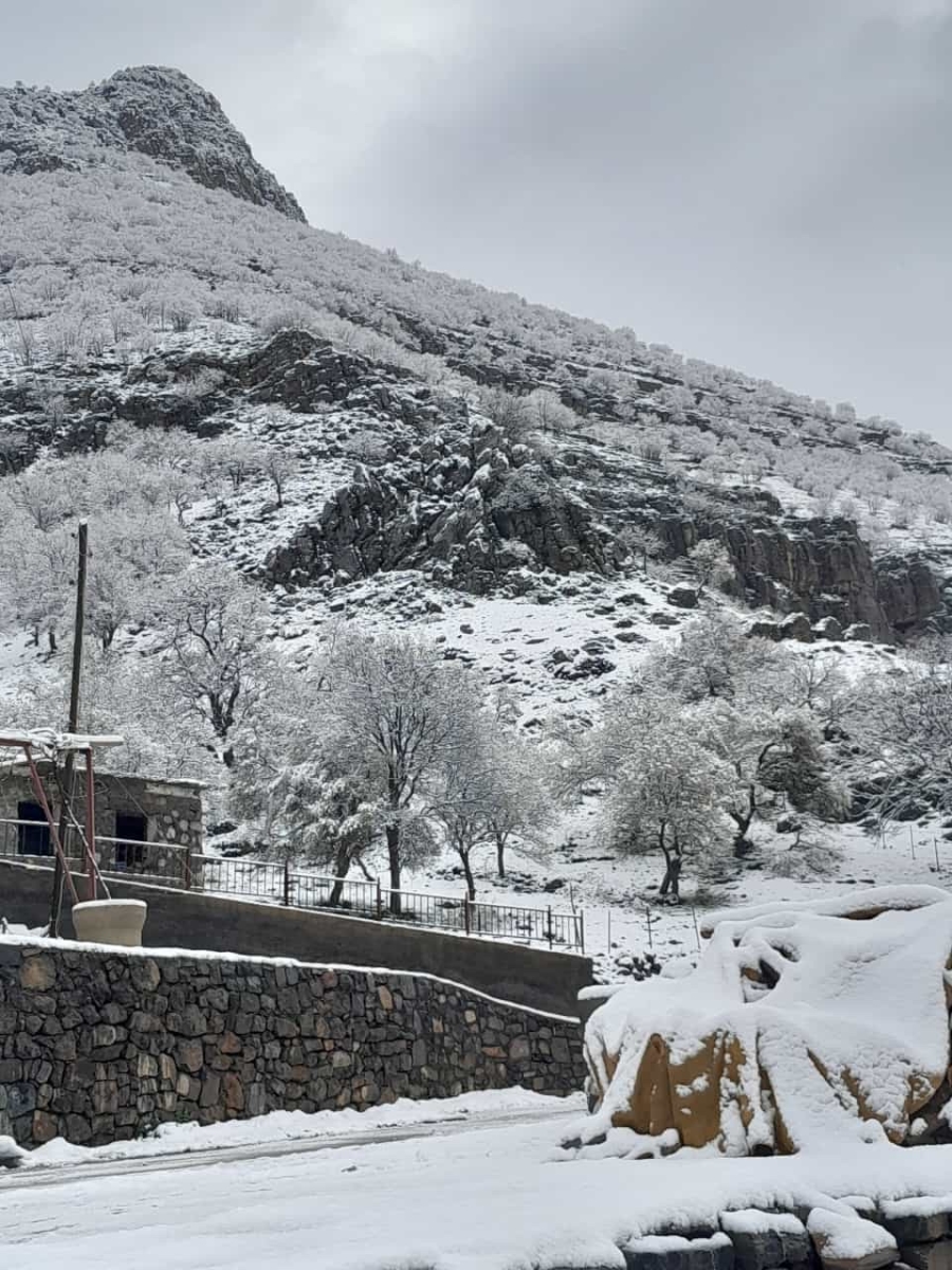 Şırnak beyaza büründü