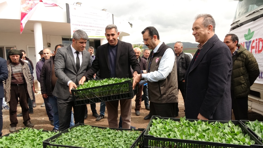 Devlet çiftçiye destek verdi, bağ bahçe sebze fidesiyle dolacak