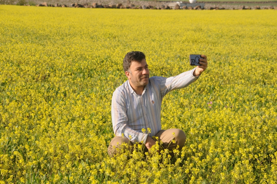 Cizre’de geç gelen baharla doğa renk cümbüşüne döndü