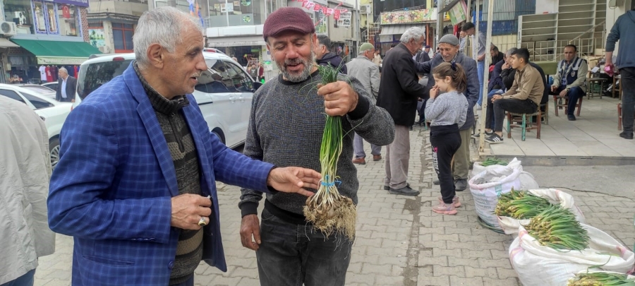 Yüksek dağlarda yetişen ve birçok hastalığa iyi geldiği belirtilen "zuzubak" otu yok satılıyor