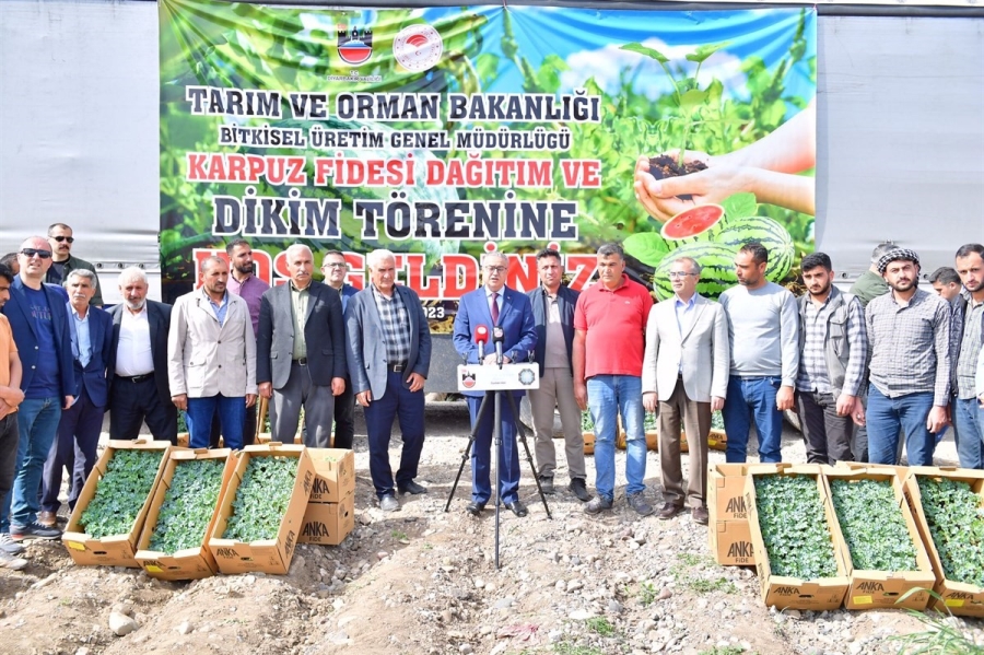 Diyarbakır’da 115 bin karpuz fidesi dağıtıldı