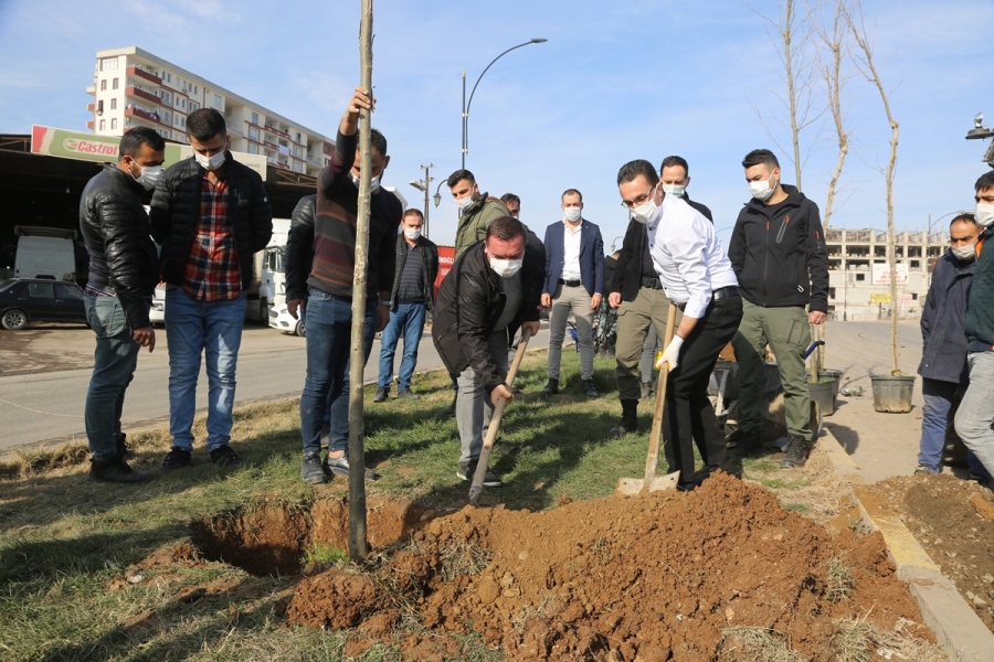 Cizre Belediyesi:“Hedefimiz Daha Yeşil Bir Cizre”