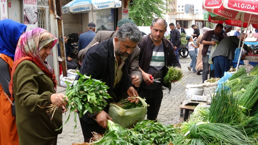 Siirt'te kenger ve sirik otu tezgahlarda yerini aldı