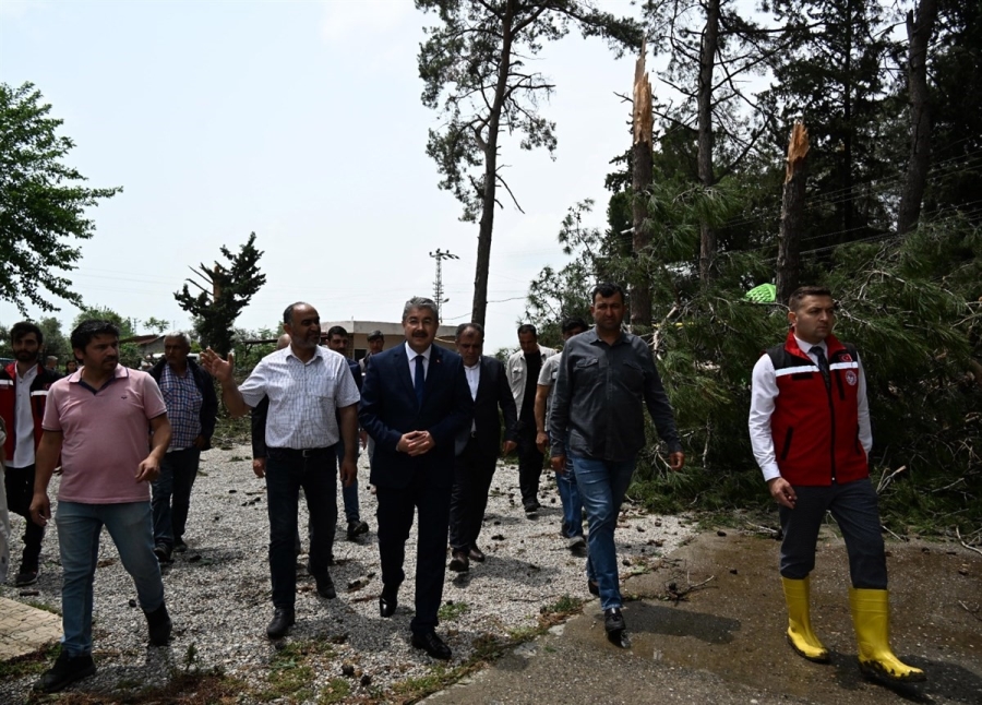 Ağaçların devrildiği, hortumun vurduğu Sakarcalık'ta yaralar sarılıyor