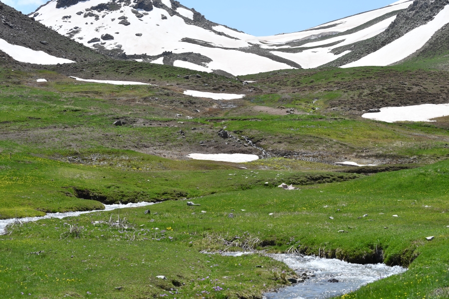 Şırnak yaylalarında kartpostallık fotoğraflar