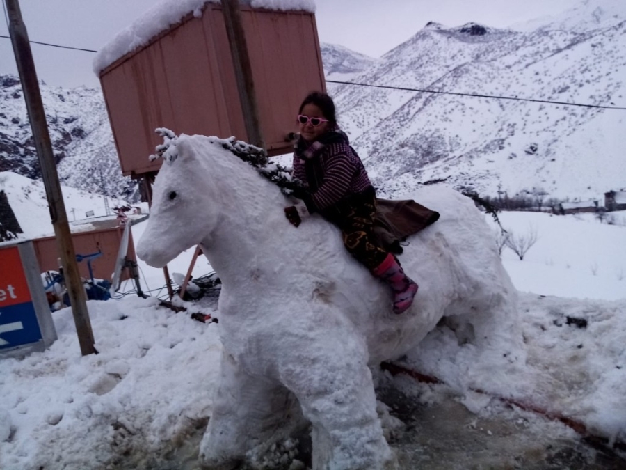 Kardan at yapıp üzerine bindiler