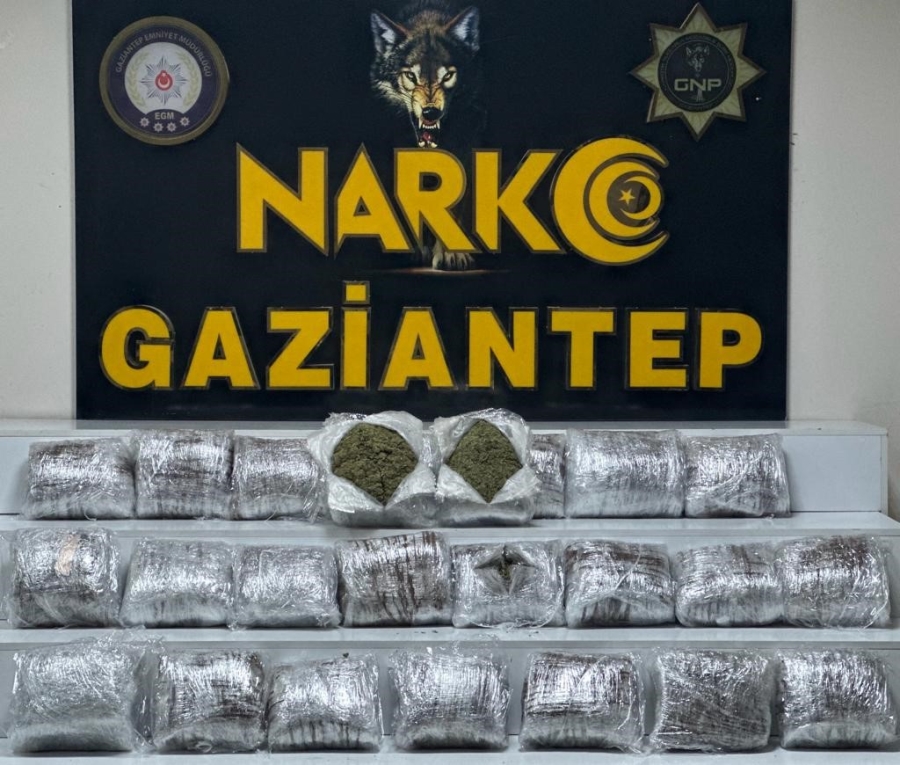 Gaziantep'te 24 kilo skunk ele geçirildi