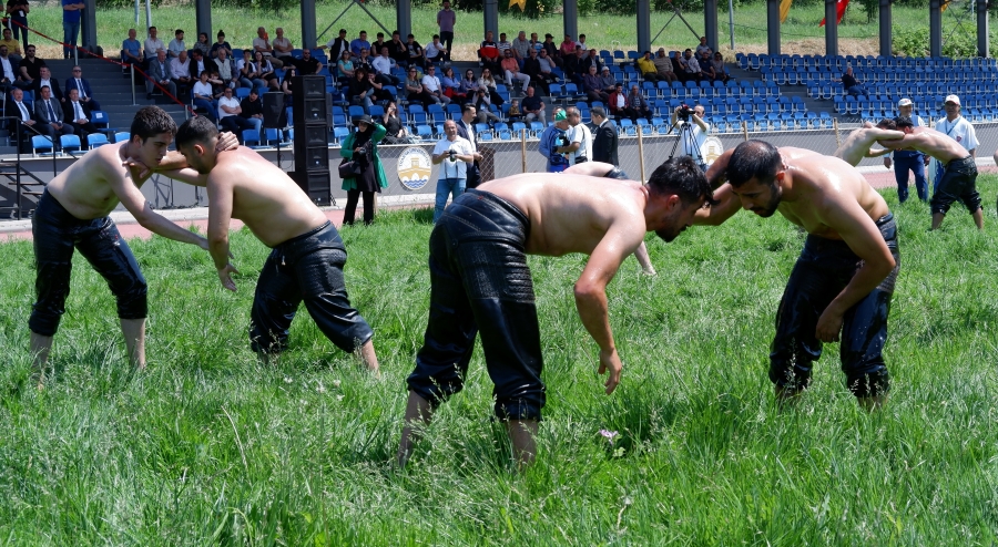 Üniversiteli pehlivanlar, Edirne'de çayıra çıktı