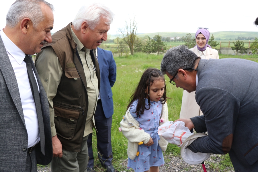 Öğrenciler hiç görmedikleri böcekleri aparatlarla topladı