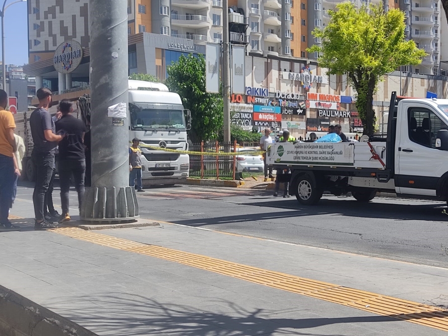 Mardin'de tırın çarptığı yaya ağır yaralandı