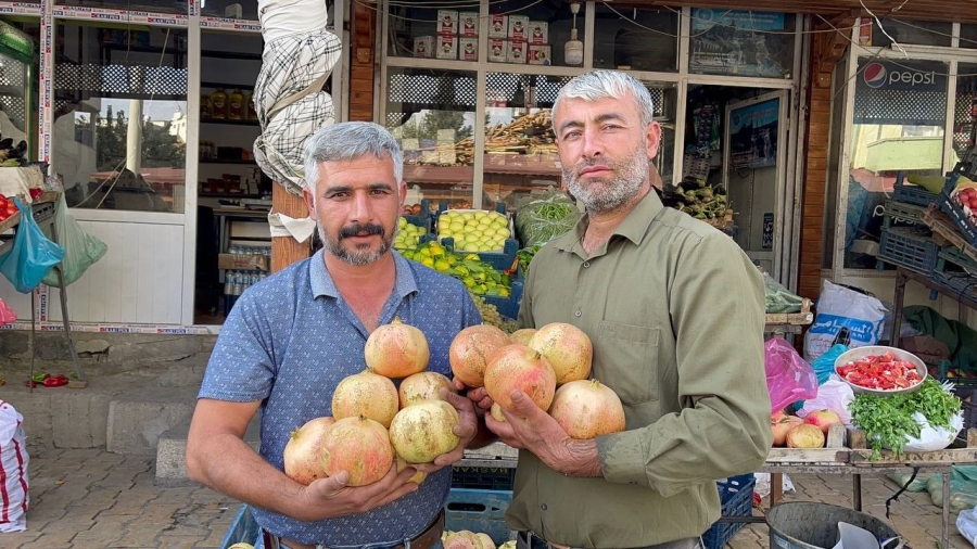 Avrupa Birliği'nden Suruç narı kararı