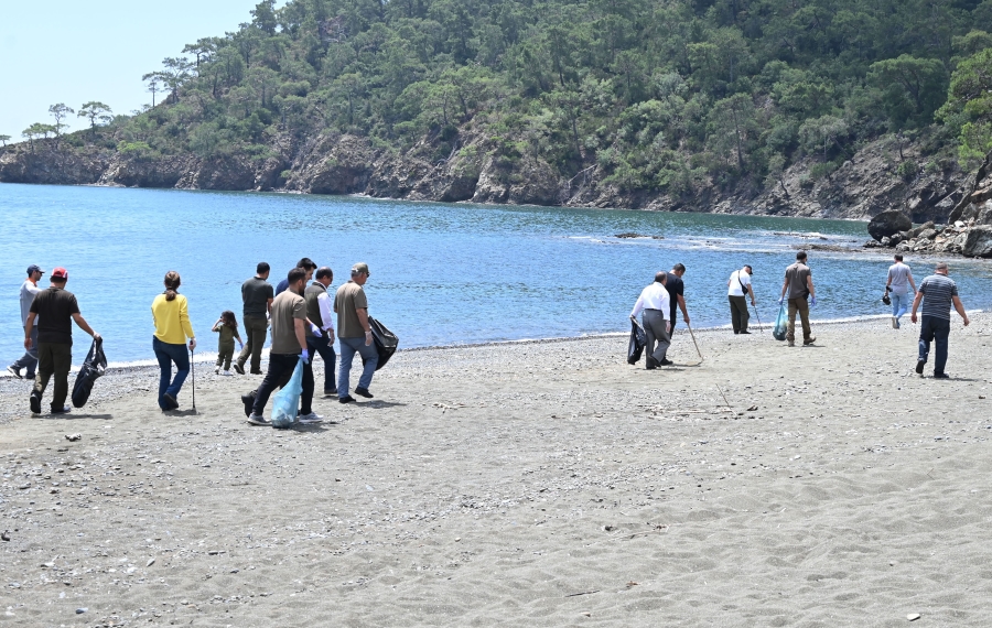 Caretta carettaların yuva çevresine güvenlik amacıyla kafes yerleştirildi