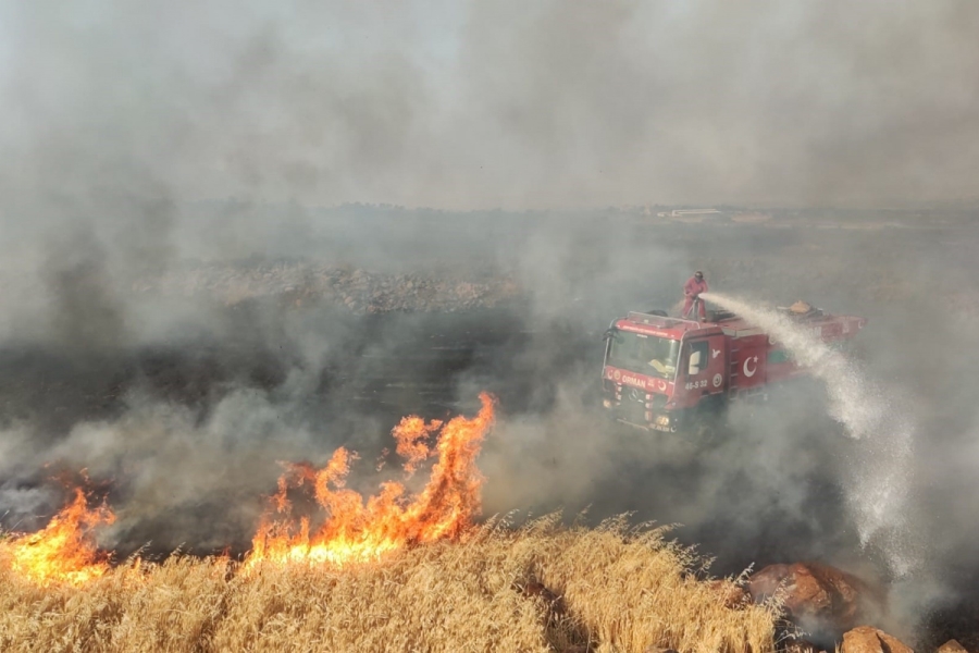 7 bin dönüm buğday tarlası yangında küle döndü