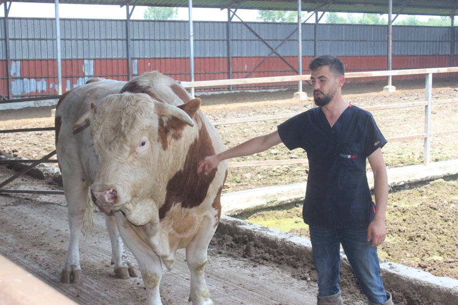 İkinci el otomobil fiyatına alıcısını bekliyor