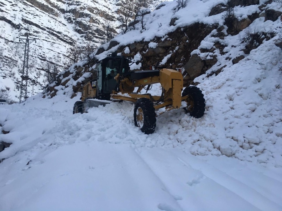 Şırnak'ta çığın düştüğü bölgelerde yol açma çalışmaları sürüyor