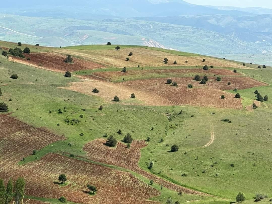 Çamoluk ilçesinde atıl araziler tarıma kazandırılıyor