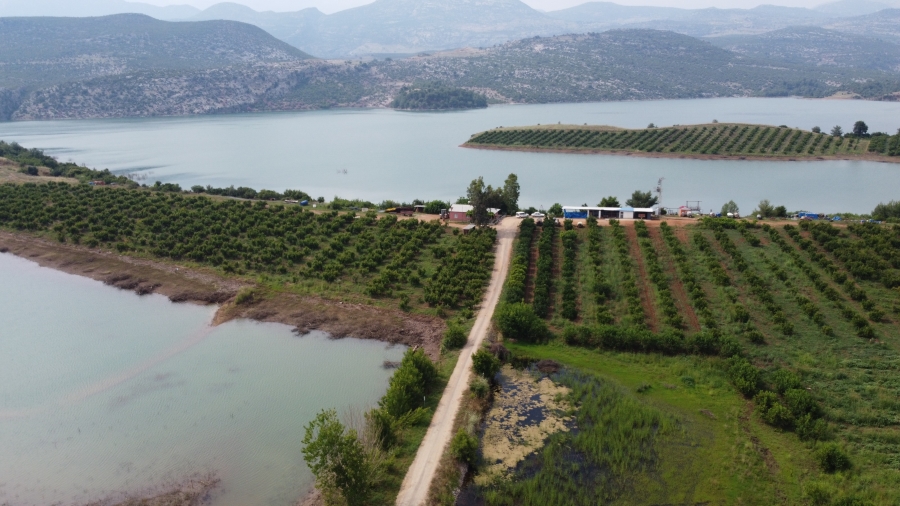 Adana'da nar çiçeklerinin görsel şöleni