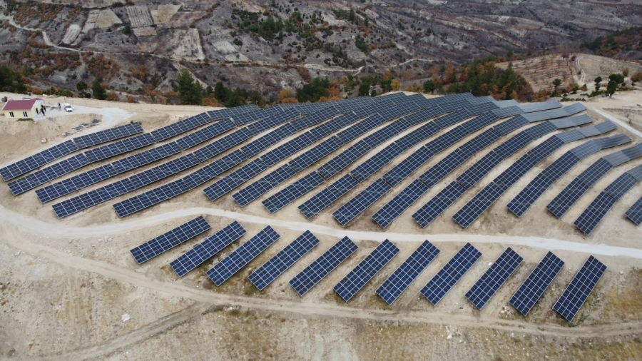 Hayat, enerjisini güneşten alıyor