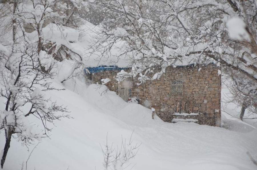 Şırnak’ta ev ve araçlar kar altında kayboldu