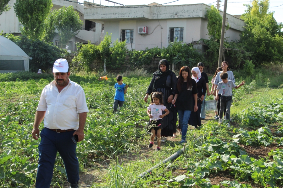 Şırnak’ın sebze ihtiyacını karşılamak için harekete geçildi