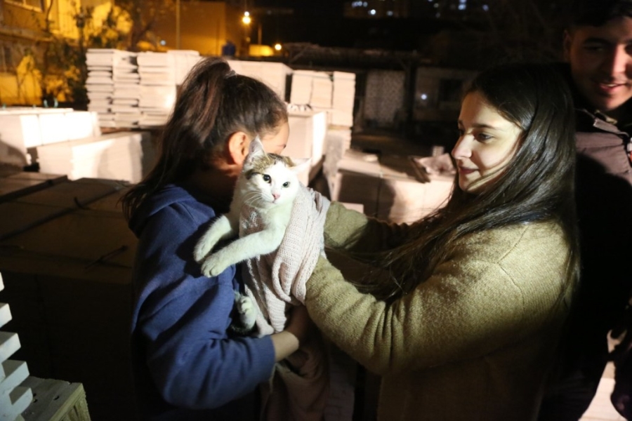 Mermer Paletlerin arasına sıkışan kediyi itfaiye kurtardı