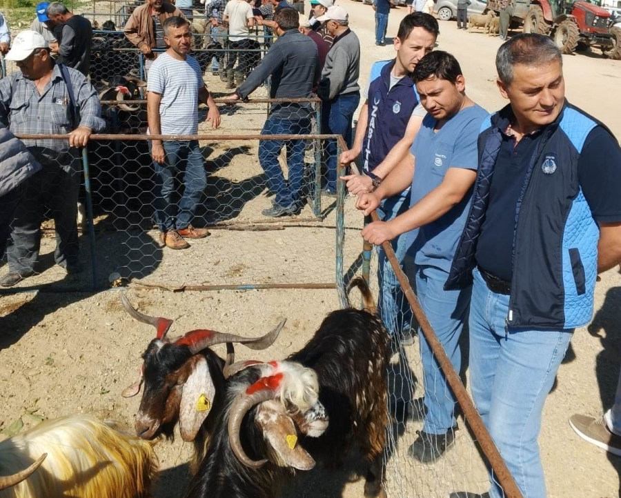 Hisarcık’ta zabıta ekiplerinden kurban satış yerlerinde denetim