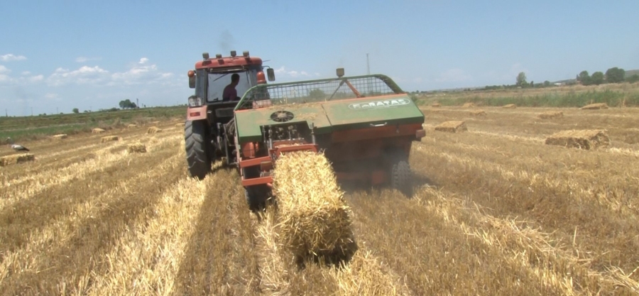 Trakya’da hasat edilen buğday tarlalarında ‘saman mesaisi’ başladı