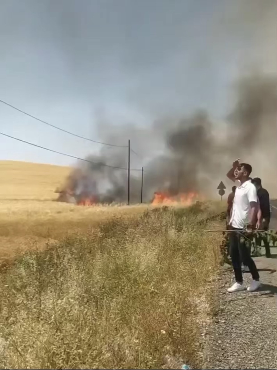 Kozluk'ta 100 dönüm buğday tarlası küle döndü