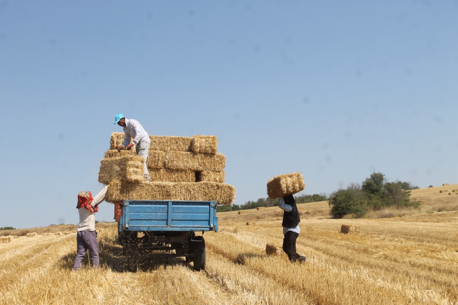 Günde bin ila bin 500 TL arası kazanıyorlar