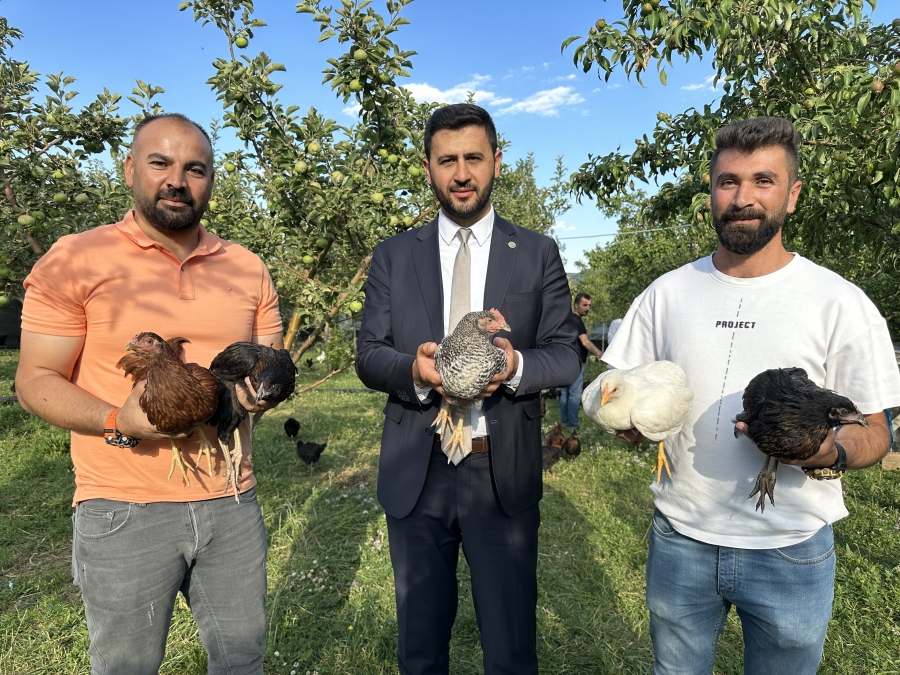 8 civcivle işe başlayan 4 öğretmen bin 200 tavuklu çiftlik kurdu