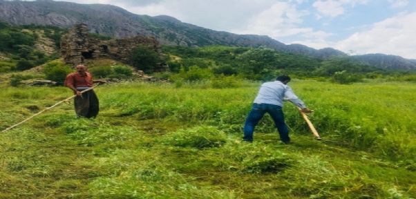 TERÖR YÜZÜNDEN EKİLEMEYEN ARAZİLER YEŞİLLENDİ