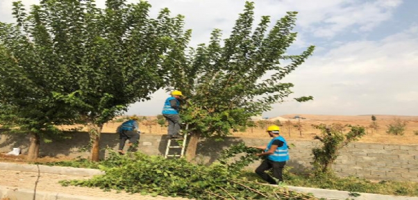 Silopi Mezarlıklar da Kış Bakımı Çalışması